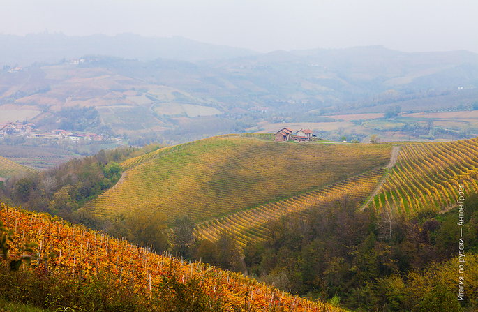 I vigneti del Piemonte ora sono Patrimonio dell’Umanità Unesco 